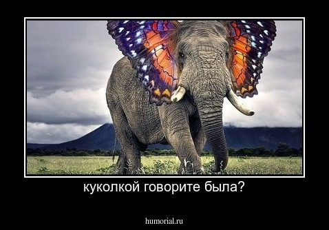куколкой говорите была?
