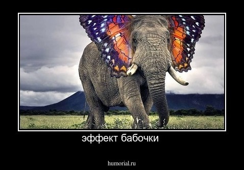 эффект бабочки 