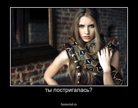 ты постригалась?