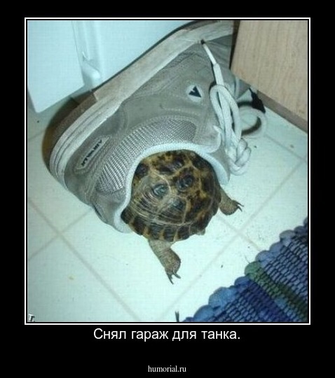 Снял гараж для танка.