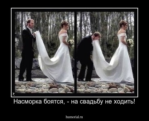 Насморка боятся, - на свадьбу не ходить!