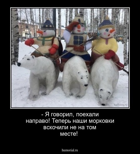- Я говорил, поехали направо! Теперь наши морковки вскочили не на том месте!