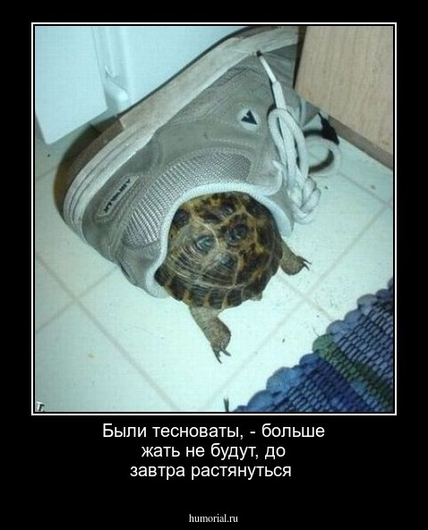 Были тесноваты, - больше жать не будут, до завтра растянуться