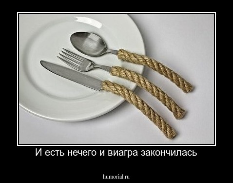 И есть нечего и виагра закончилась