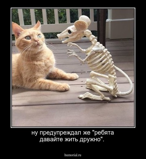 ну предупреждал же "ребята давайте жить дружно".