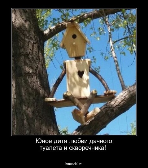 Юное дитя любви дачного туалета и скворечника!