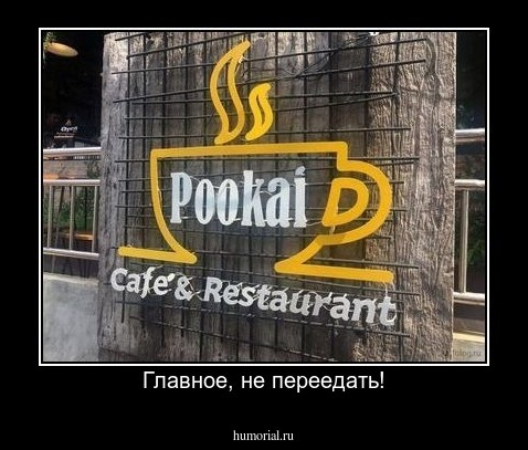 Главное, не переедать!