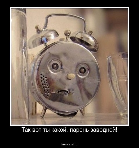 Так вот ты какой, парень заводной!