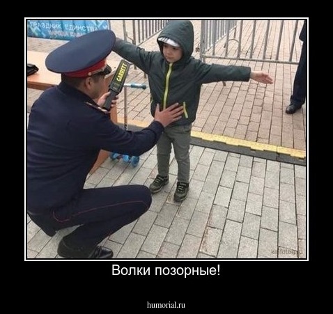 Волки позорные!