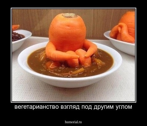 вегетарианство взгляд под другим углом