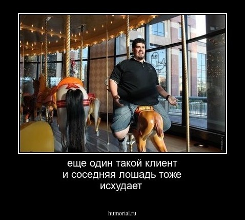 еще один такой клиент и соседняя лошадь тоже исхудает