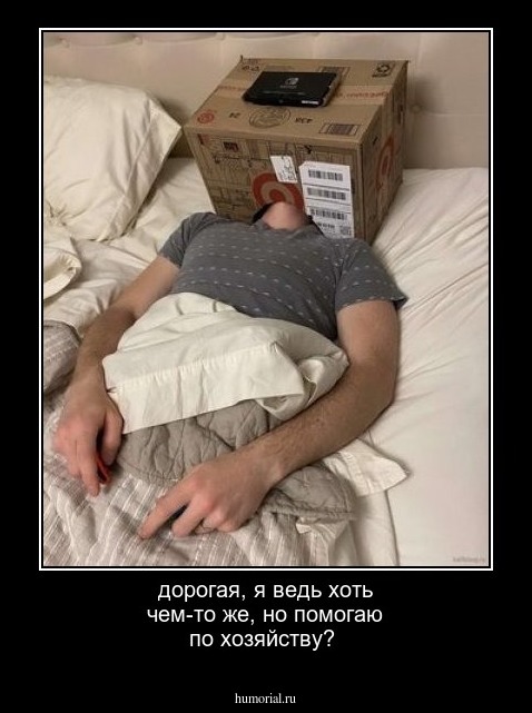 дорогая, я ведь хоть чем-то же, но помогаю по хозяйству?