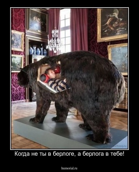 Когда не ты в берлоге, а берлога в тебе!