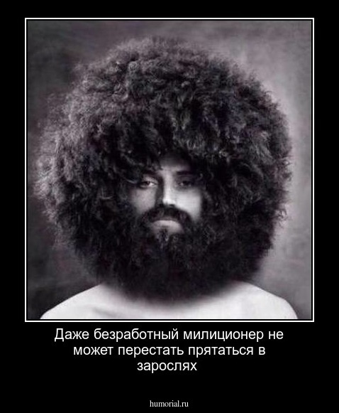 Даже безработный милиционер не может перестать прятаться в зарослях