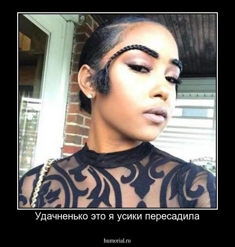 Удачненько это я усики пересадила