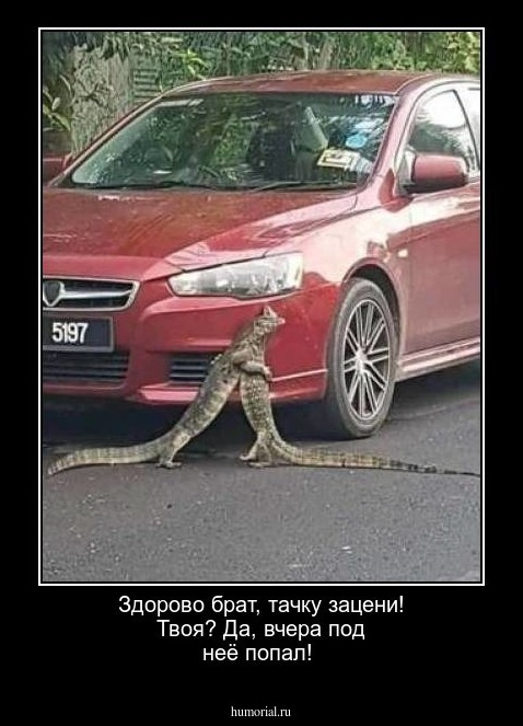 Здорово брат, тачку зацени! Твоя? Да, вчера под неё попал!
