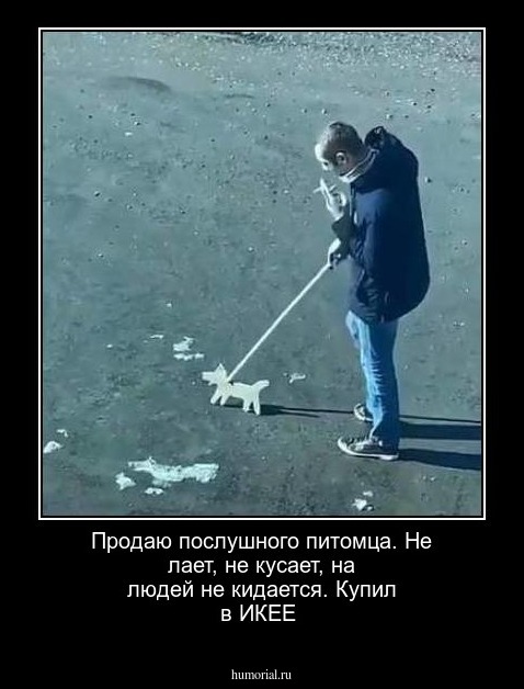 Продаю послушного питомца. Не лает, не кусает, на людей не кидается. Купил в ИКЕЕ