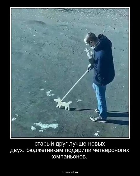 старый друг лучше новых двух. бюджетникам подарили четвероногих компаньонов.