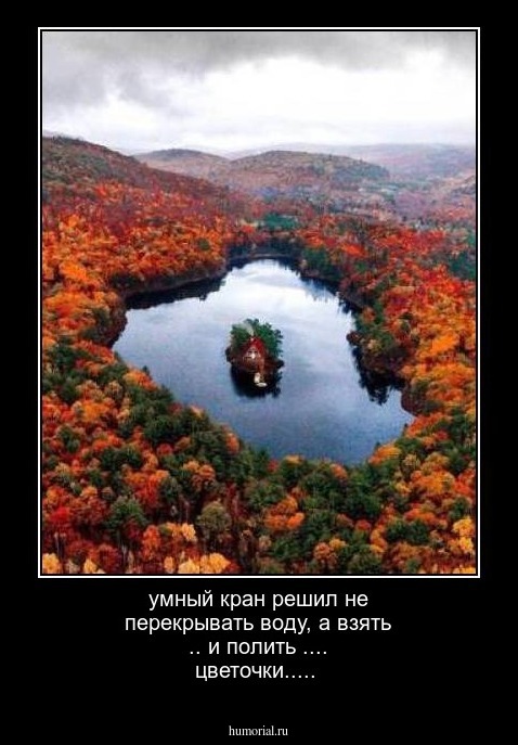 умный кран решил не перекрывать воду, а взять .. и полить .... цветочки.....