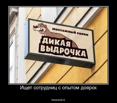 Ищет сотрудниц с опытом доярок