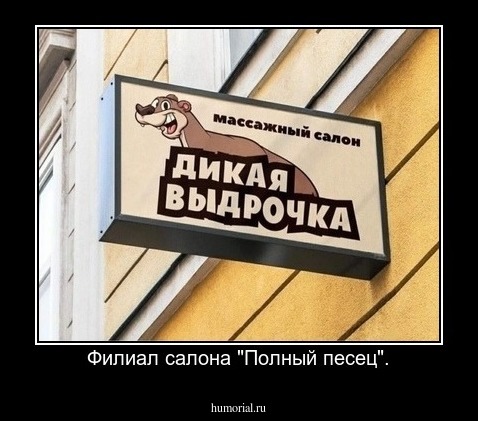 Филиал салона "Полный песец".