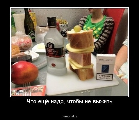Что ещё надо, чтобы не выжить