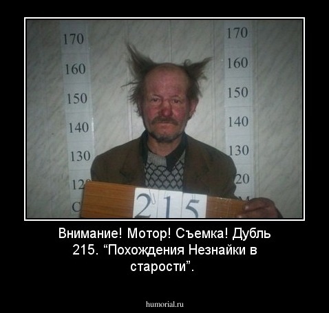 Внимание! Мотор! Съемка! Дубль 215. “Похождения Незнайки в старости”. 
