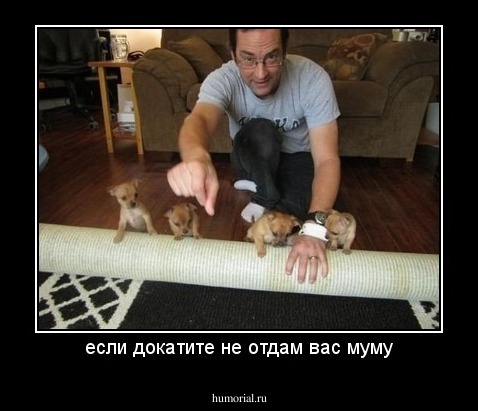 если докатите не отдам вас муму