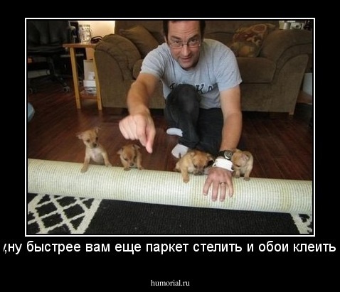 ну,ну быстрее вам еще паркет стелить и обои клеить!!!