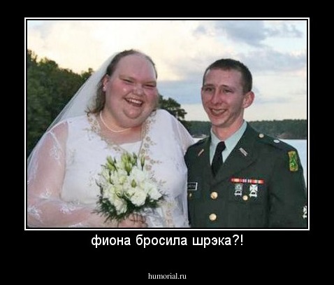 фиона бросила шрэка?!