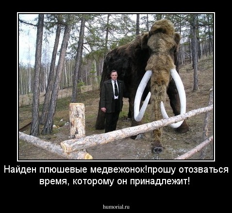 Найден плюшевые медвежонок!прошу отозваться время, которому он принадлежит!