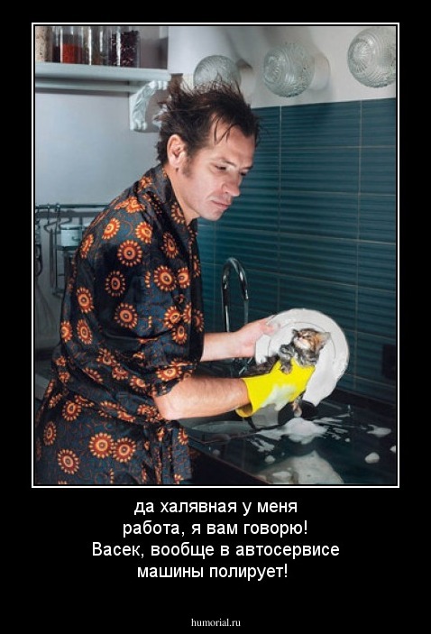 да халявная у меня работа, я вам говорю! Васек, вообще в автосервисе машины полирует! 