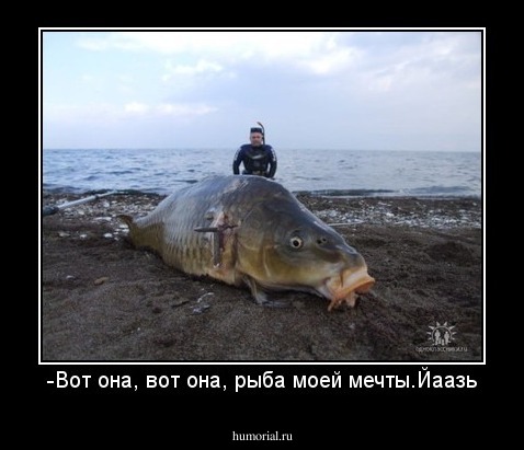 -Вот она, вот она, рыба моей мечты.Йаазь