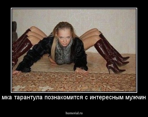 Самка тарантула познакомится с интересным мужчиной!