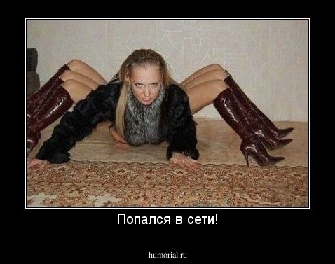 Попался в сети!
