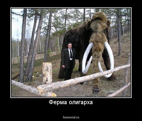 Ферма олигарха