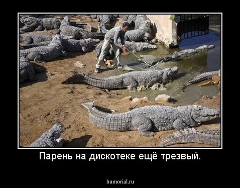 Парень на дискотеке ещё трезвый.