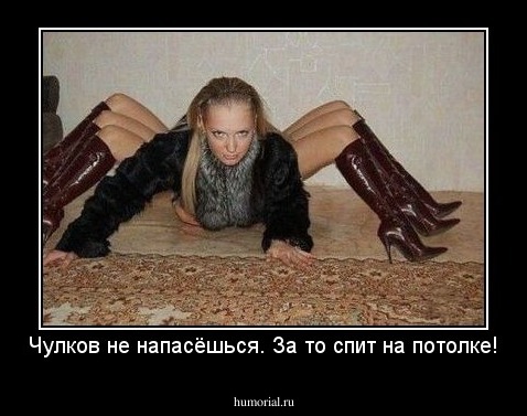 Чулков не напасёшься. За то спит на потолке!