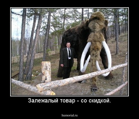 Залежалый товар - со скидкой.