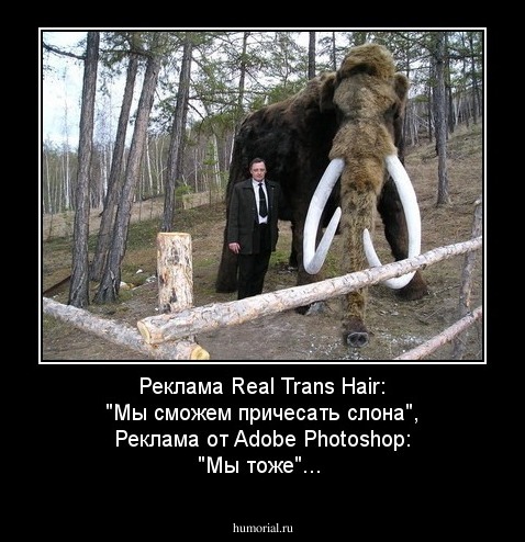 Реклама Real Trans Hair: "Мы сможем причесать слона",
Реклама от Adobe Photoshop: "Мы тоже"...