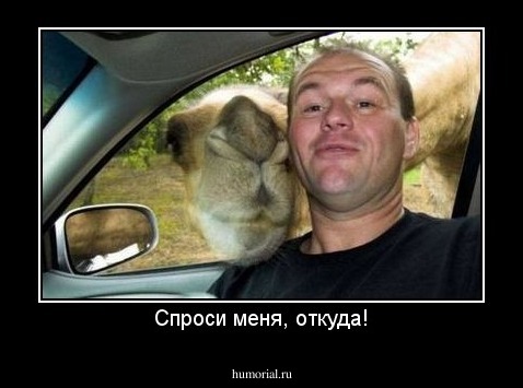 Спроси меня, откуда!