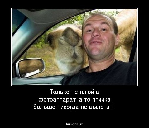 Только не плюй в фотоаппарат, а то птичка больше никогда не вылетит!