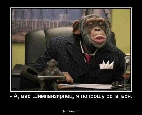 - А, вас Шимпанзирлец, я попрошу остаться.