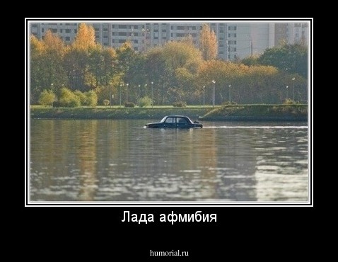 Лада афмибия