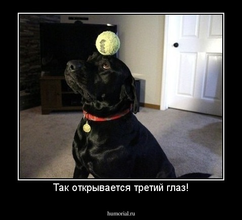 Так открывается третий глаз!