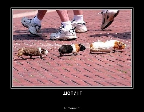 шопинг