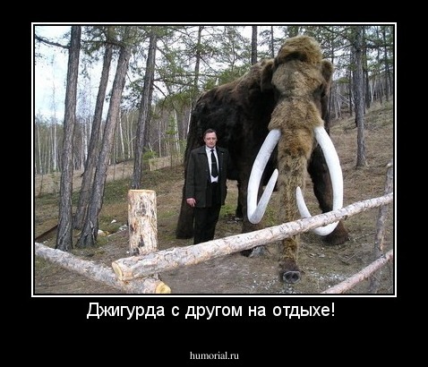 Джигурда с другом на отдыхе! 