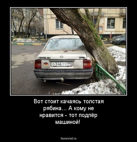 Вот стоит качаясь толстая рябина...
А кому не нравится - тот подпёр машиной!