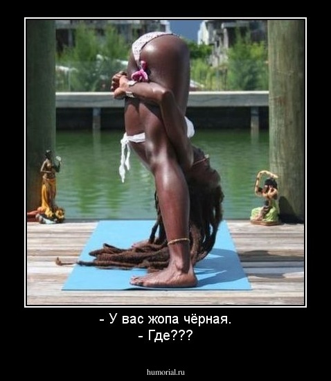 - У вас жопа чёрная.
- Где???