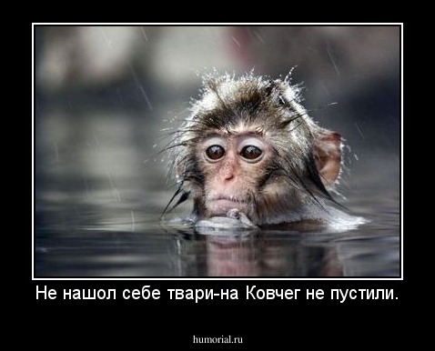 Не нашол себе твари-на Ковчег не пустили.